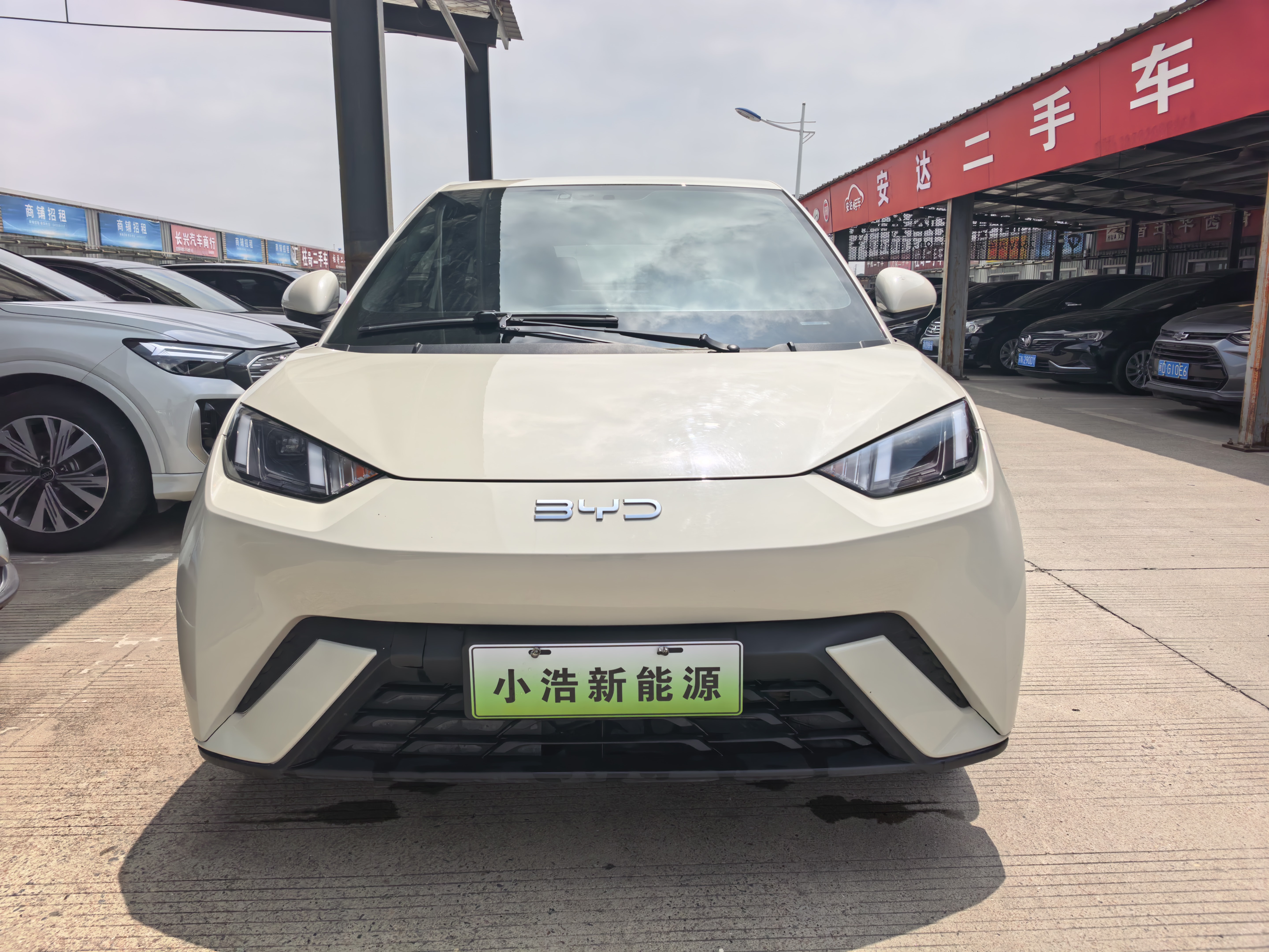BYD Seagull 2024 Glory Edition 305km Freedom Edition