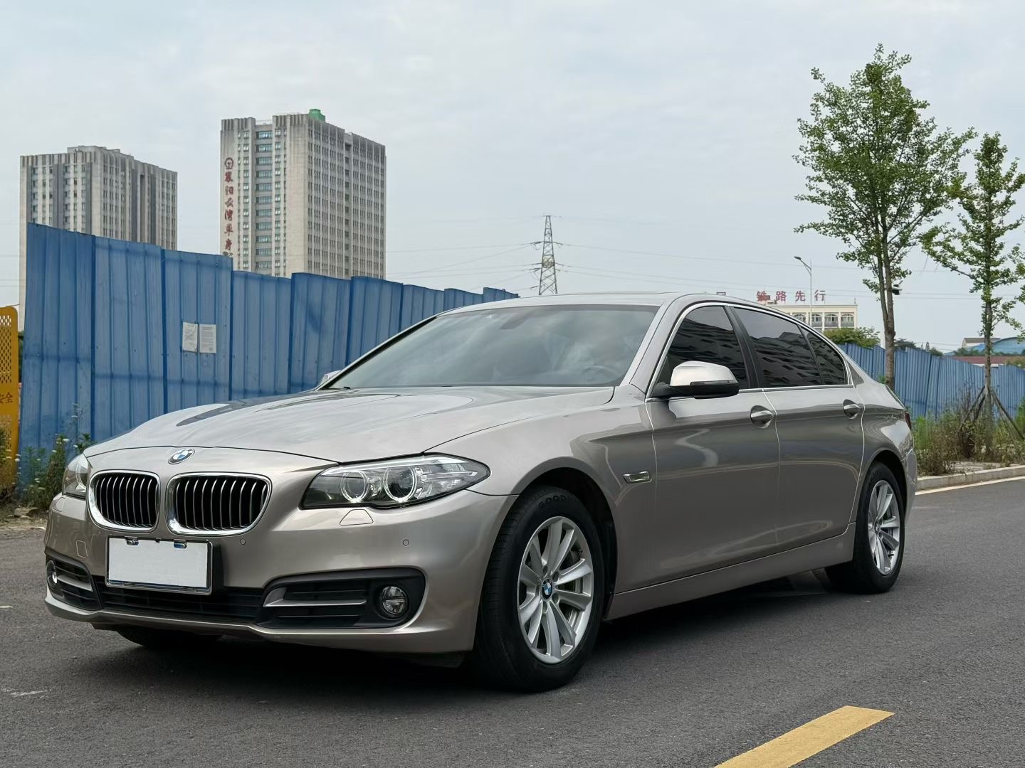 BMW 5 Series 2017 520Li Elegant
